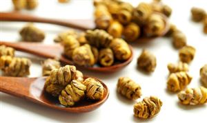 kaiyun官网开云塑胶跑道行业市场发展态势 塑胶跑道行业现状趋势分析2023(图4)